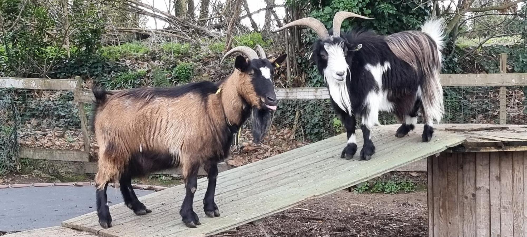 Gites Ferme De La Baie Roz-sur-Couesnon Exterior photo